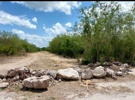 Terrain à vendre à Merida, Yucatan, Merida, Yucatan