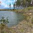  Land for sale in Garcia Moreno, Carchi, Garcia Moreno, Bolivar
