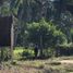 在Compostela, Nayarit出售的 屋, Compostela
