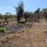  Terreno (Parcela) en venta en San Fernando, Chiapas, San Fernando