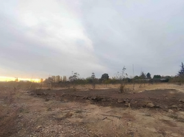  Terreno (Parcela) en venta en Cordillera, Santiago, Pirque, Cordillera