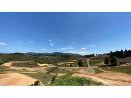  Land for sale in Guarne, Antioquia, Guarne