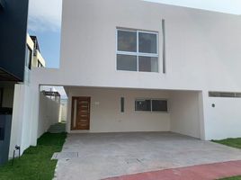 Maison 4 chambre à vendre à Zapopan, Jalisco, Zapopan