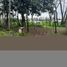  Land for sale in Maule, Yerbas Buenas, Linares, Maule