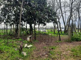 Land for sale in Maule, Yerbas Buenas, Linares, Maule