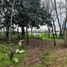  Land for sale in Yerbas Buenas, Maule, Yerbas Buenas, Linares