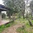  Land for sale in Maule, Yerbas Buenas, Linares, Maule