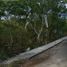  Land for sale in Valladolid, Yucatan, Valladolid