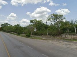  Land for sale in Valladolid, Yucatan, Valladolid