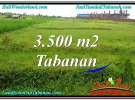  Land for sale in Kerambitan, Tabanan, Kerambitan