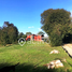 5 Habitación Casa en venta en Los Ríos, Mariquina, Valdivia, Los Ríos