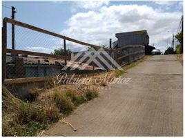  Terreno (Parcela) en venta en Chile, Quillego, Biobío, Biobío, Chile