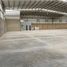 2,000 平米 Office for rent in Coahuila, Torreon, Coahuila