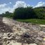  Land for sale in Othon P Blanco, Quintana Roo, Othon P Blanco, Quintana Roo