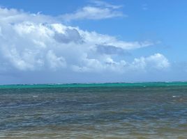  Land for sale in Othon P Blanco, Quintana Roo, Othon P Blanco, Quintana Roo