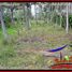  Land for sale in Tabanan, Bali, Tabanan, Tabanan