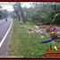  Land for sale in Tabanan, Bali, Tabanan, Tabanan