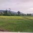  Land for sale in Yogyakarta, Pajangan, Bantul, Yogyakarta