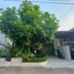 2 Bedroom House for sale in Pajangan, Yogyakarta, Pajangan