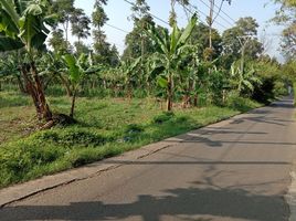  Land for sale in Bandung, West Jawa, Ngamprah, Bandung