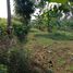  Land for sale in Bandung, West Jawa, Ngamprah, Bandung