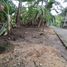  Land for sale in Yogyakarta, Pengasih, Kulon Progo, Yogyakarta