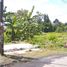  Land for sale in Yogyakarta, Ngemplak, Sleman, Yogyakarta