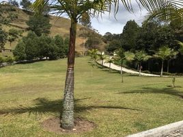 4 Schlafzimmer Villa zu verkaufen in Retiro, Antioquia, Retiro