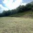 Terrain à vendre à La Mesa, Cundinamarca, La Mesa