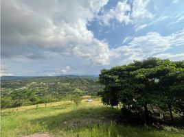 Terrain à vendre à La Mesa, Cundinamarca, La Mesa