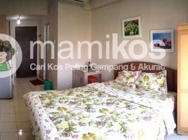 1 Bedroom Condo for rent in Jakarta Utara, Jakarta, Tanjung Priok, Jakarta Utara