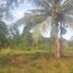  Land for sale in Dauis, Bohol, Dauis