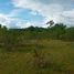  Land for sale in Dauis, Bohol, Dauis