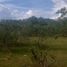  Land for sale in Dauis, Bohol, Dauis