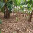  Terreno (Parcela) en venta en Jatiasih, West Jawa, Jatiasih