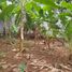  Terreno (Parcela) en venta en Jatiasih, West Jawa, Jatiasih