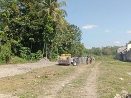  Terrain for sale in Sukabumi, West Jawa, Nagrak, Sukabumi