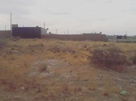  Terrain for sale in Biedma, Chubut, Biedma