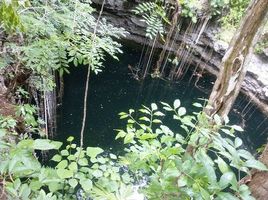  Terreno (Parcela) en venta en Temozon, Yucatán, Temozon