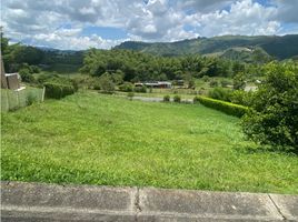  Land for sale in Caldas, Manizales, Caldas