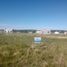  Land for sale in Benito Juarez, Buenos Aires, Benito Juarez