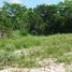  Land for sale in Chemax, Yucatan, Chemax