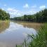  Land for sale in Balzar, Guayas, Balzar, Balzar