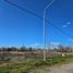  Land for sale in Confluencia, Neuquen, Confluencia