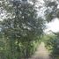  Land for sale in Allende, Nuevo Leon, Allende