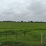  Land for sale in Allende, Nuevo Leon, Allende