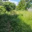  Land for sale in Allende, Nuevo Leon, Allende