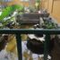 3 Habitación Casa en venta en Pondok Aren, Banten, Pondok Aren, Tangerang, Banten