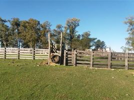  Terreno for sale in Barra do Quaraí, Rio Grande do Sul, Barra do Quaraí, Barra do Quaraí