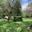 在墨西哥出售的 Quinta, Lerma, Mexico, 墨西哥